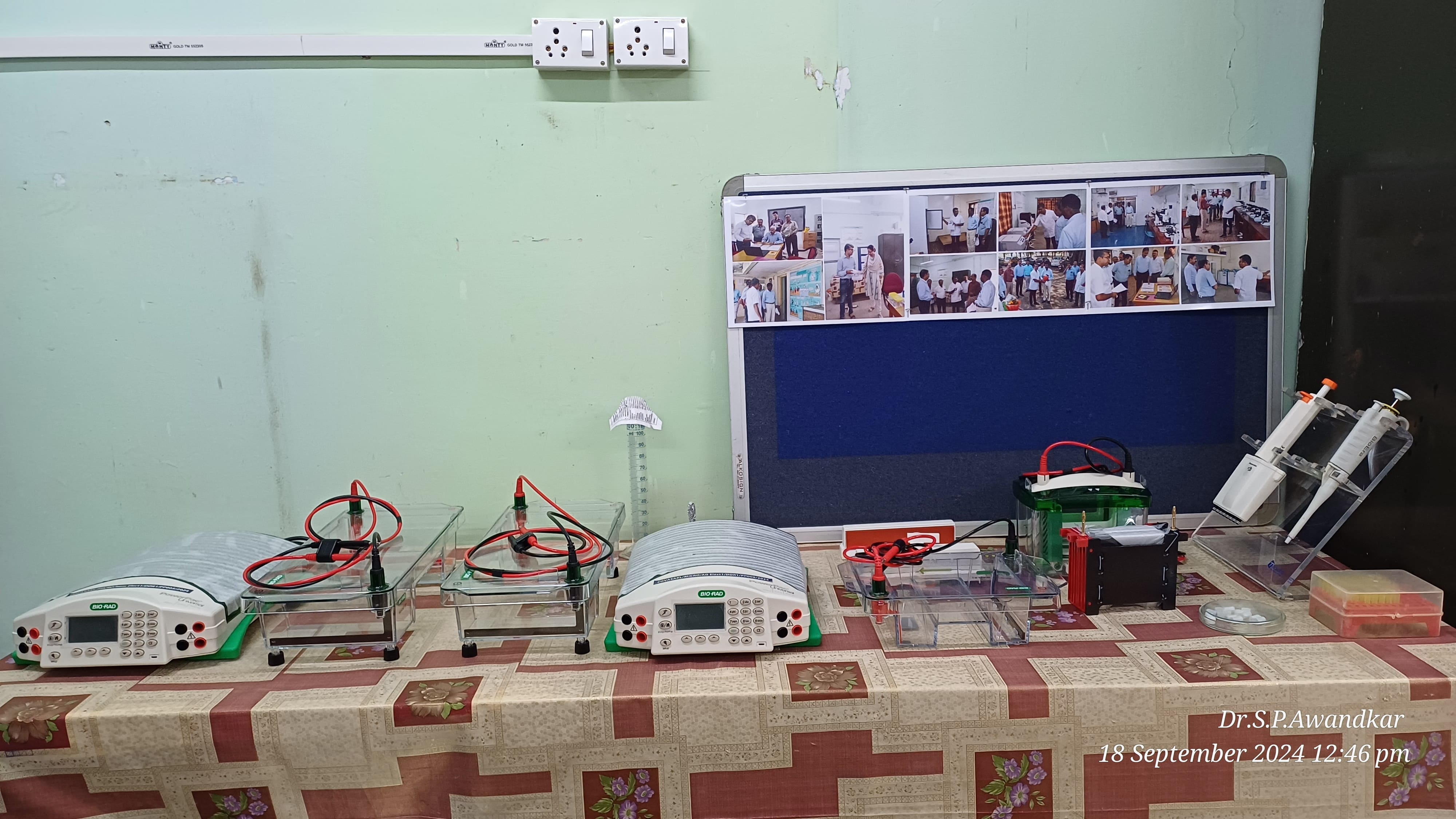 5. Immunology And Serology Laboratory